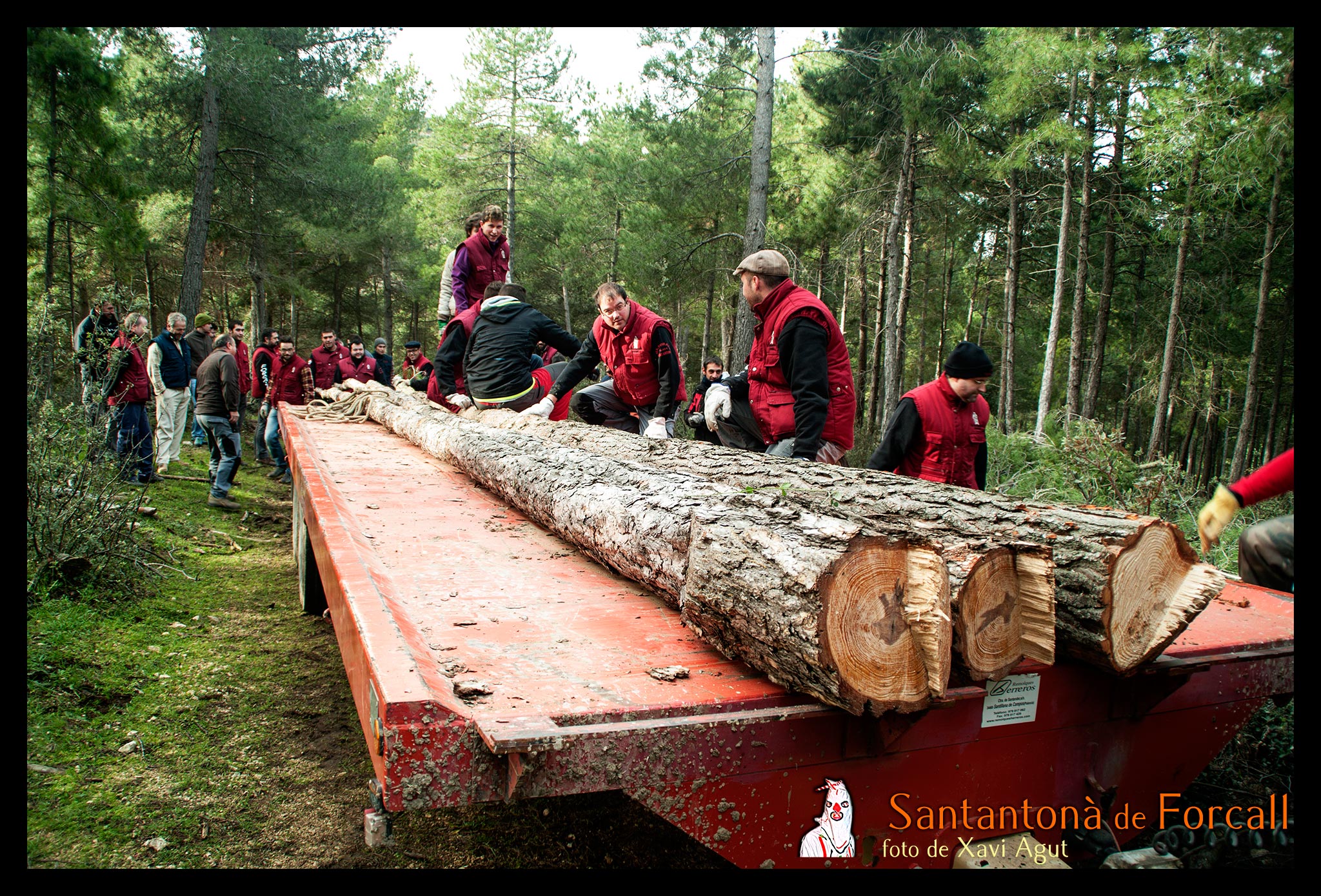 Amb cura, els membres de la Santantonà aniran carregant els pins en el tractor